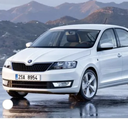 Ремонт Диагностика Skoda Rapid 2012-2017